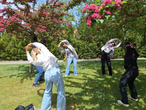 taiji