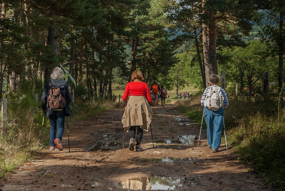 TURISTÉ NA VÝLĚTE V LESE