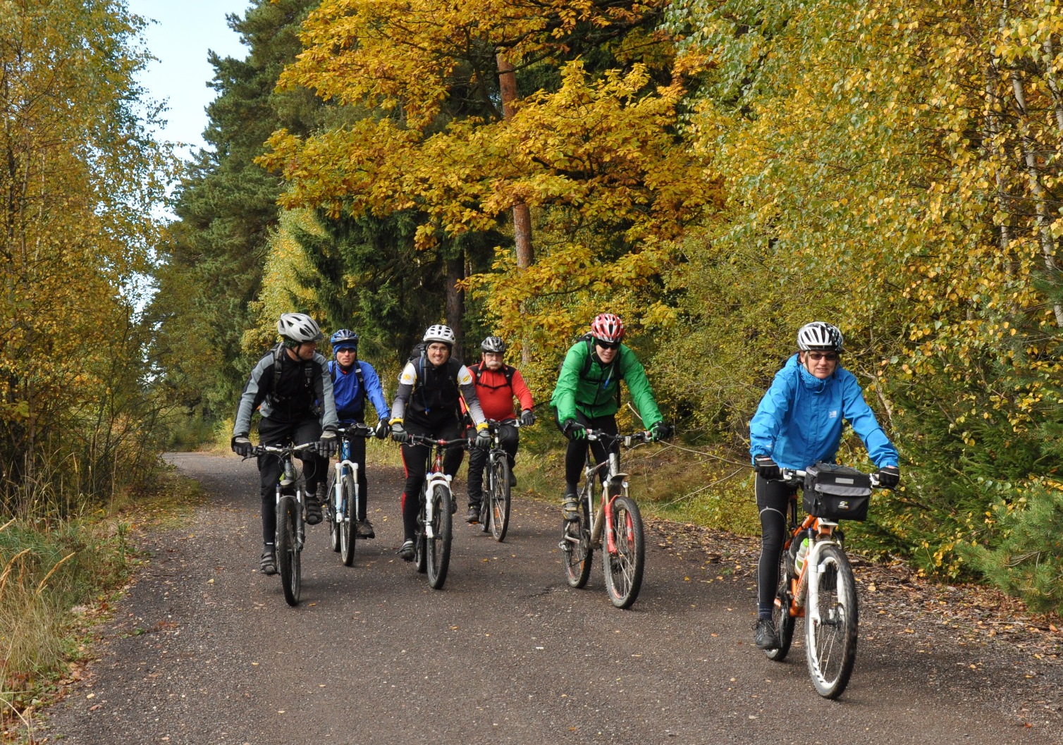 cyklisté jedoucí po cestičce v Brdech