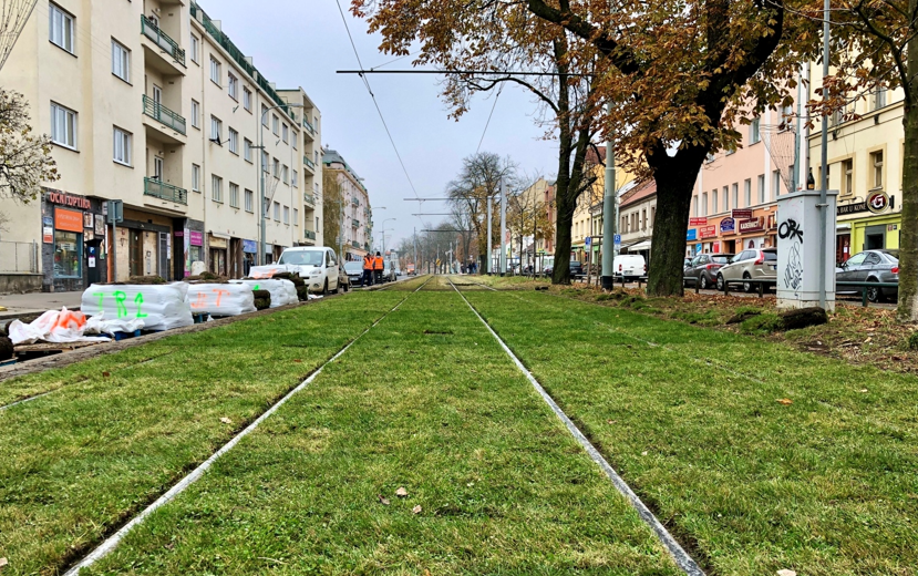 foto nově položeného travního pásu na tramvajové trati