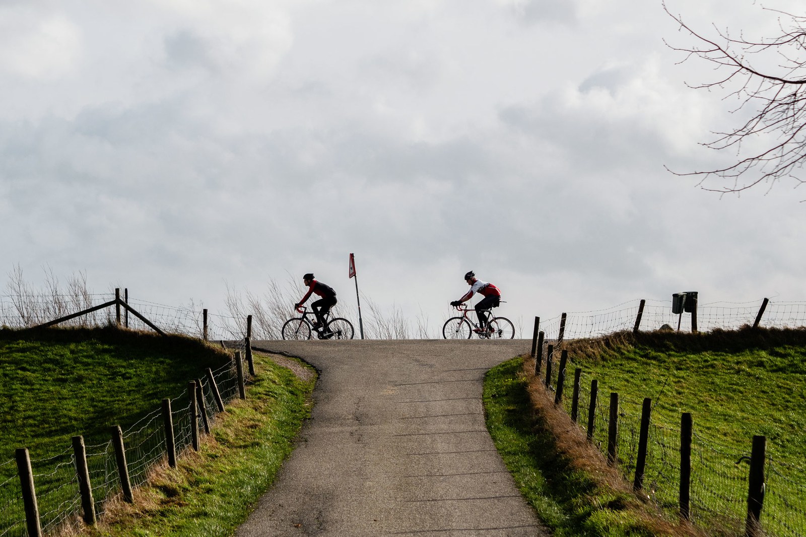 cyklisté v Utrechtu