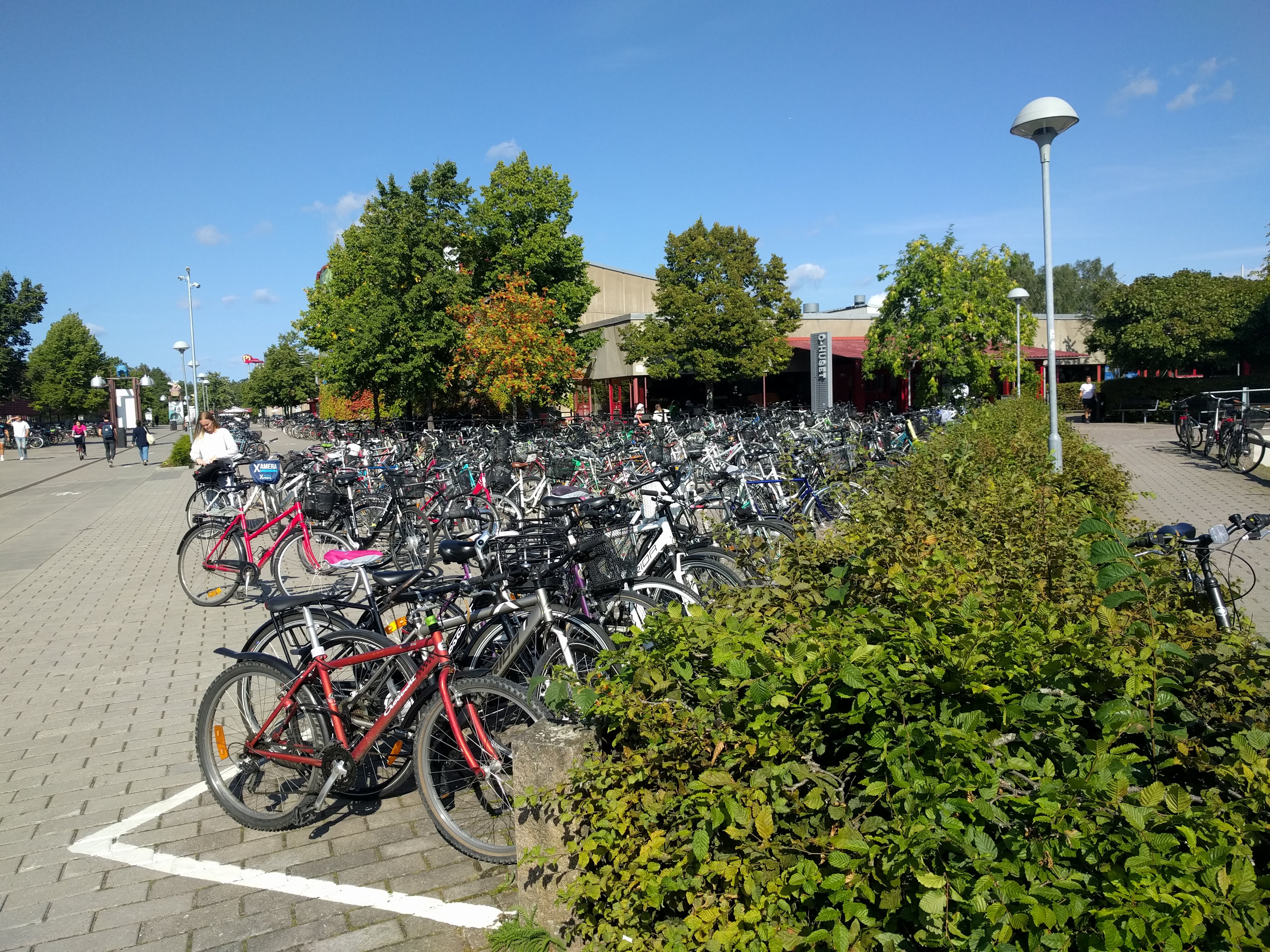 Parkování před univerzitou