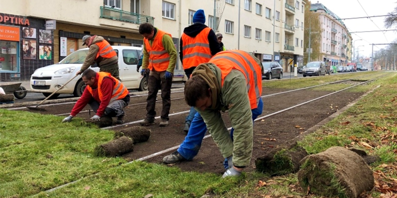 pracovnící pokládají nové travní koberce - foto