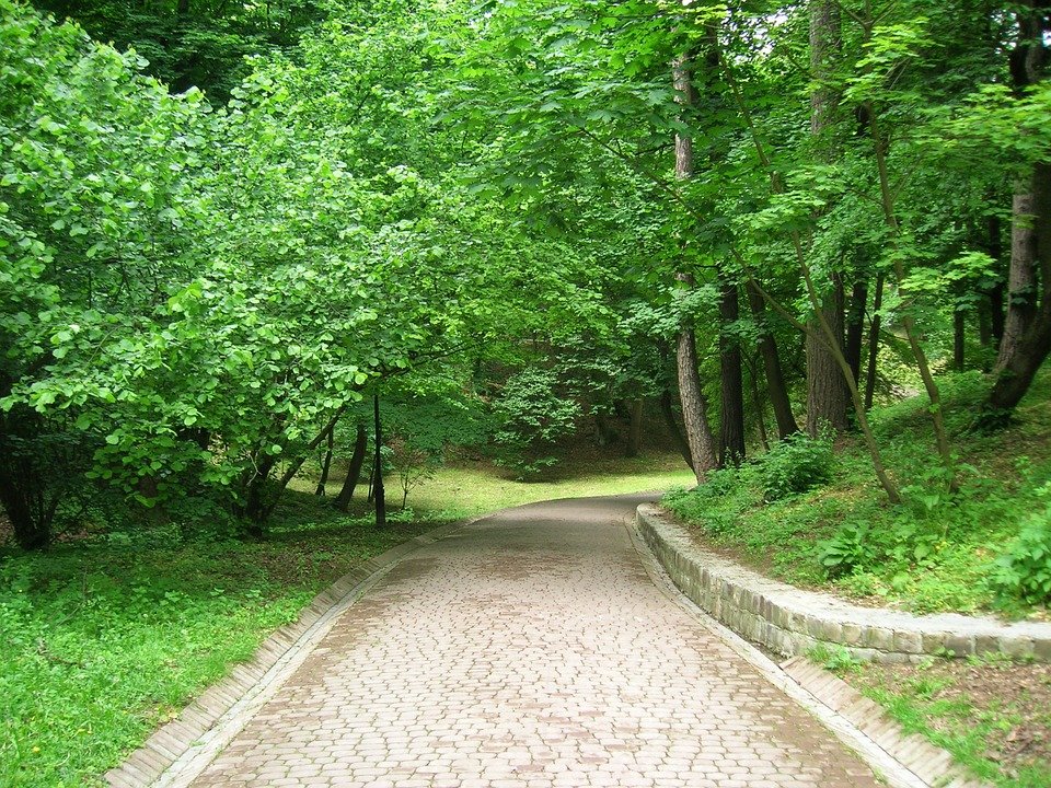 Krásné zákoutí městského parku