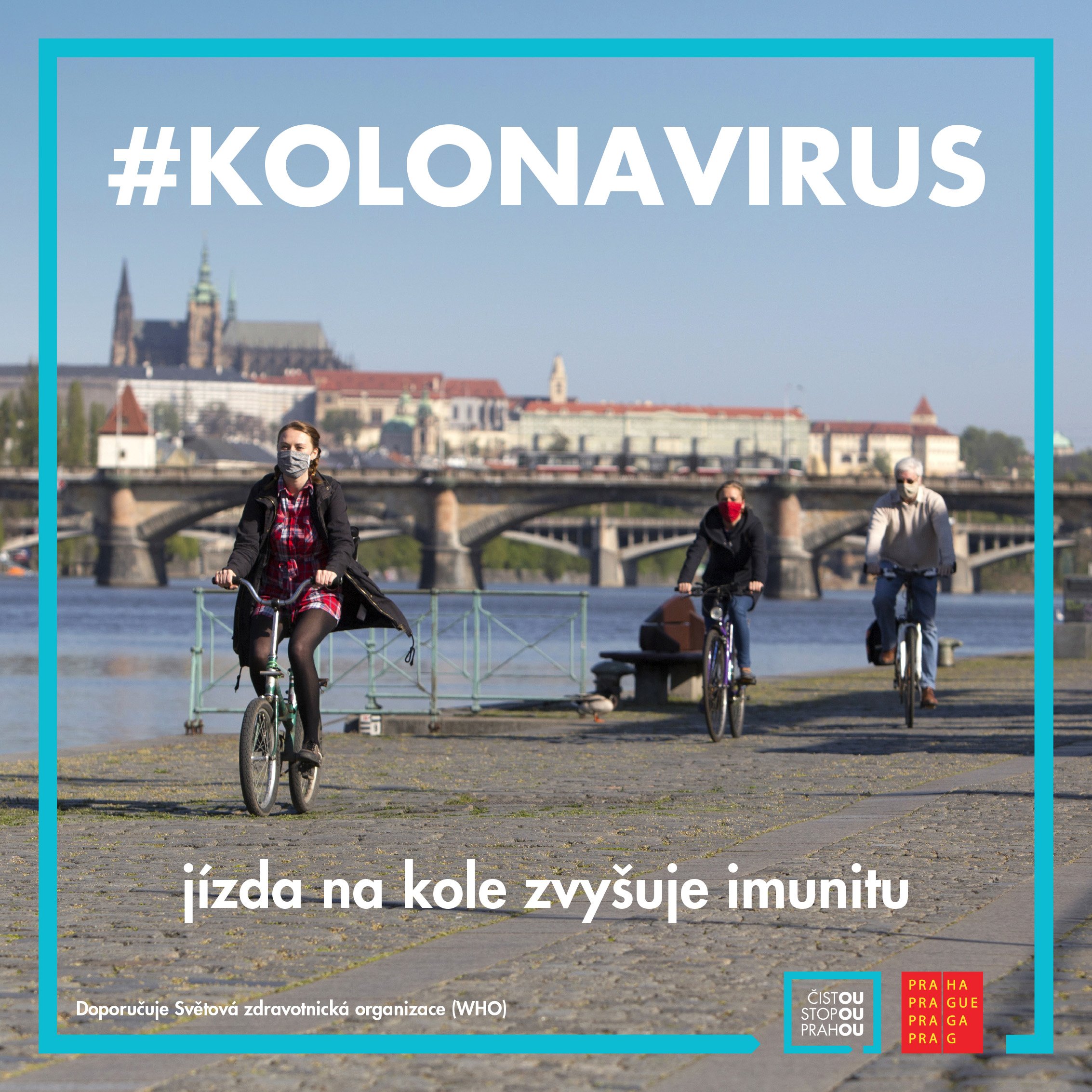 kolonavirus