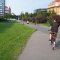 Cyklista jedoucí po cyklostezce, foceno zezadu 