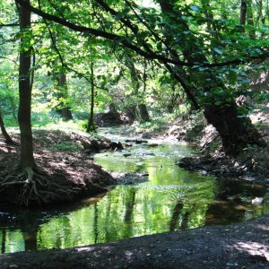 Údolí Kunratického potoku je chráněno jako přírodní památka Autor: Jiří Juřík