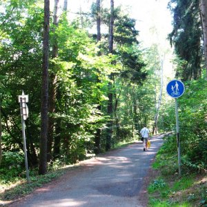 Cesta podél Libušského potoku