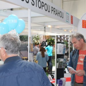 naše expozice 8