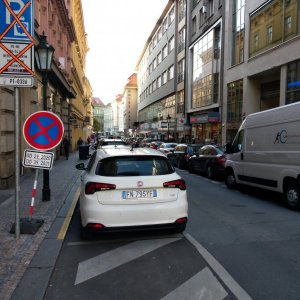 Perlová
