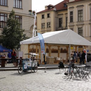 Zažít město jinak - ranní přípravy na Mariánském náměstí_2